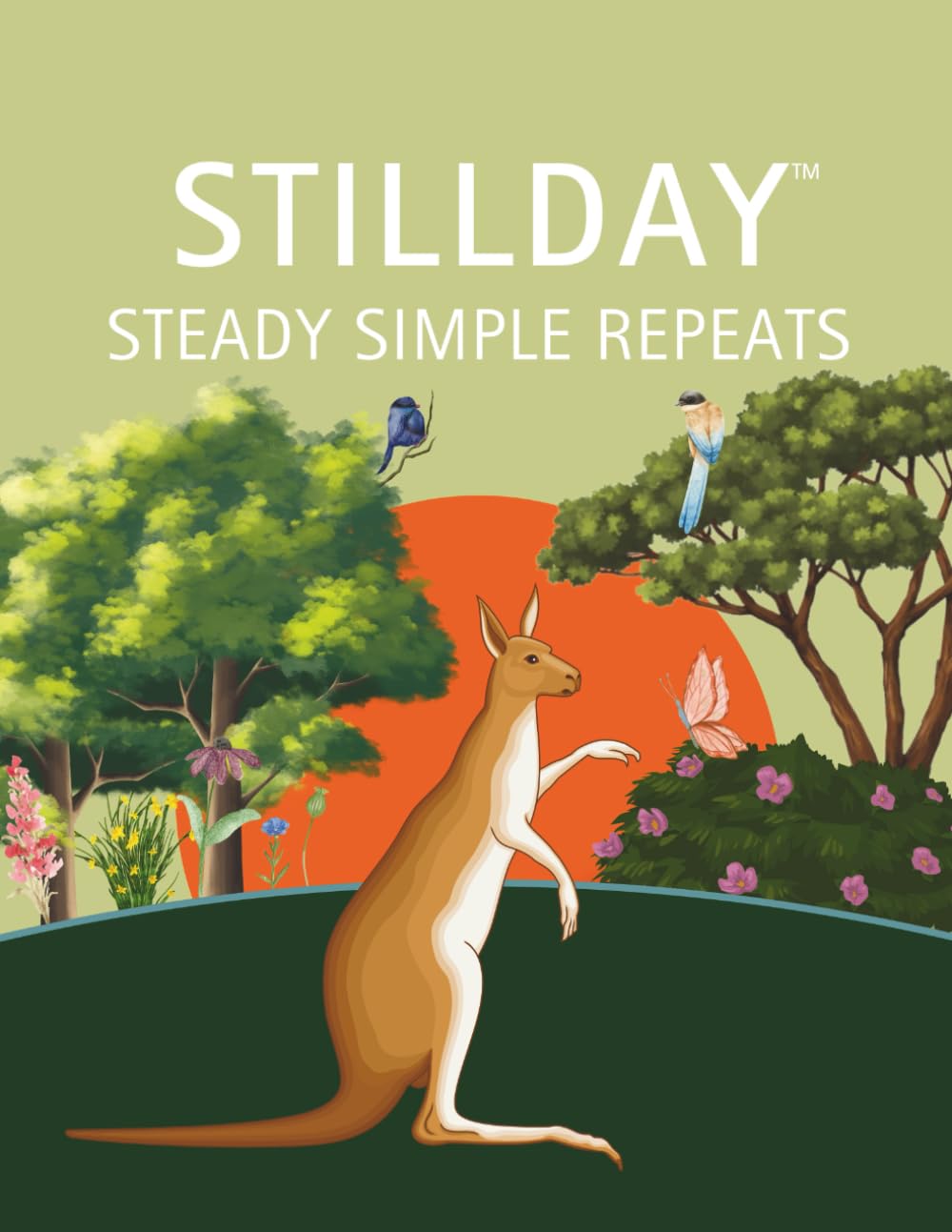 Stillday Steady Simple Repeats: Simple Repeating Images to Build Early Attention for Ages 2–4 (Shillday Happy Start Series)