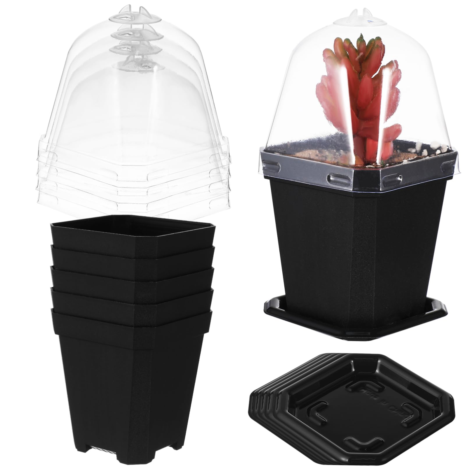 SUPVOX Petit Pot De Fleurs Succulent Semis Plantes Planteur Usine Pots De Jardin Jardinières avec Drainage Et Plateau Pot De Fleurs De Pépinière Pots De Tourbe Plastique 5pcs