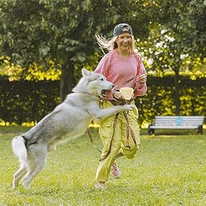 BECEMURU Silicone Dog Treat Pouch 2 Packs- Small and Portable Training Bag with Magnetic Closure and Waist Belt Easy Access to Treats,Dishwasher Safe (Yellow and Green)