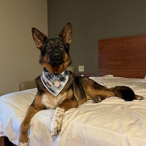 Miniatura 4 de lionet paws Bandana de Pascua para perro con patrón de conejo para perros pequeños, medianos y grandes, pañuelo de perro y gato, pañuelo triangular,