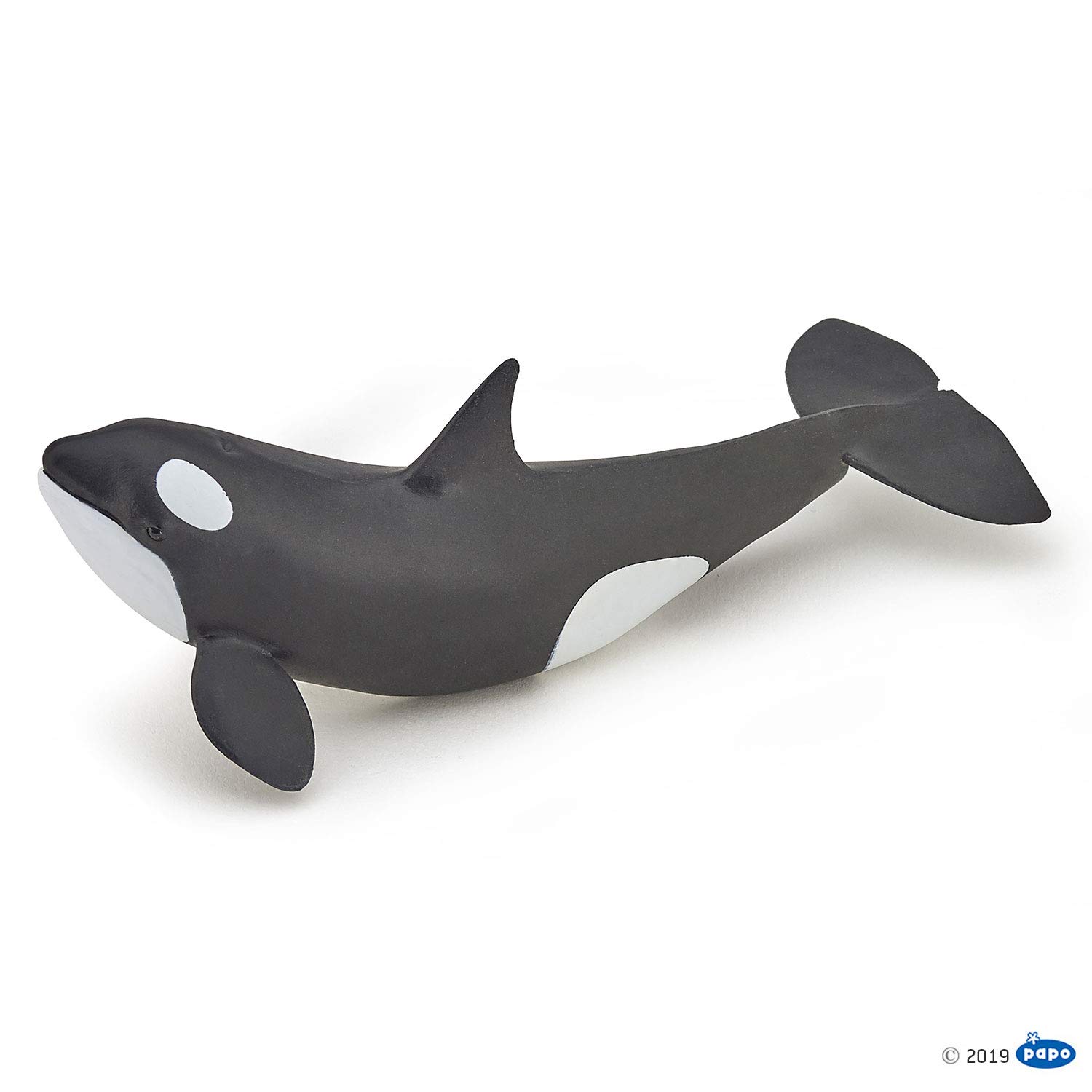 Papo - Hand-Painted - Figurine - Marine Life - Killer Whale Calf-56040 - Collectible - for Children - Suitable for Boys and Girls - from 3 Years Old