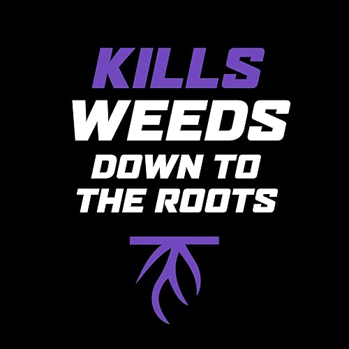 Miniatura 4 de Ortho WeedClear - Recambio para herbicidas listo para usar, mata el diente de león y el trébol, 1 galón