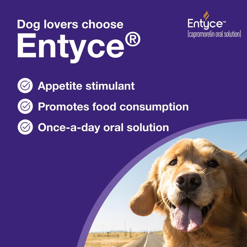 Amazon.com : Entyce Dog Appetite Stimulant | Oral Solution