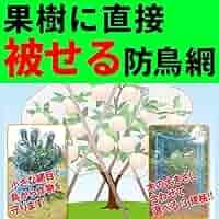 Amazon.co.jp: 果樹 用 直掛け 防鳥網 9×9m 20mm目 木に被せる防