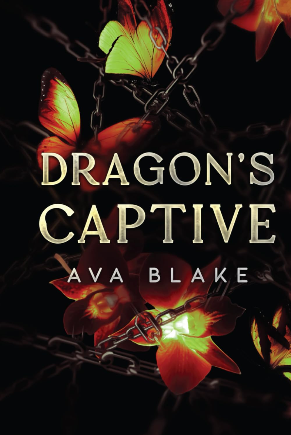 Dragon's Captive