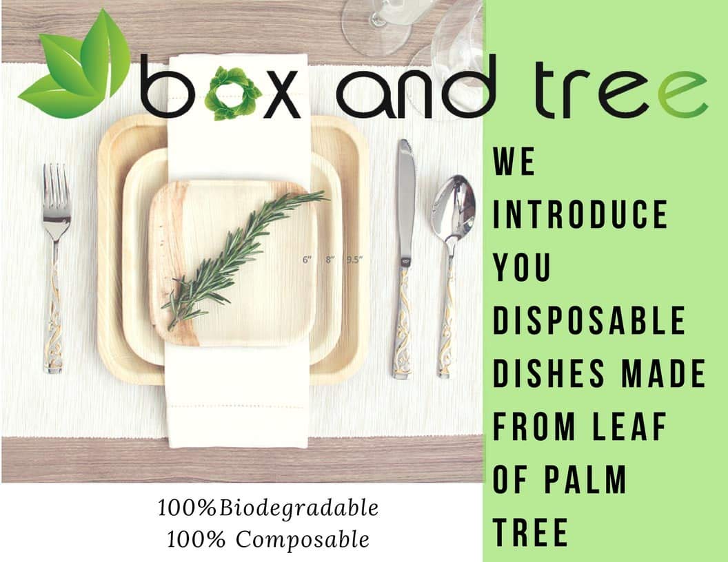 100 Platos Desechables de Hoja de Palma 24cm | Vajilla Desechable Biodegradable 100% Compostable | Estable y Resistente | Perfecto para la fiesta de cumpleaños o boda