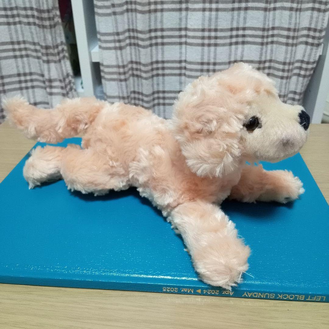 希少 レア エディーバウアー シュタイフ ゴールデンレトリーバー ぬいぐるみ 希少 レア エディーバウアー シュタイフ ゴールデンレトリーバー