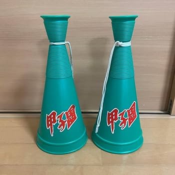 Amazon.co.jp: 第77回選抜高校野球大会 阪神甲子園球場 東海