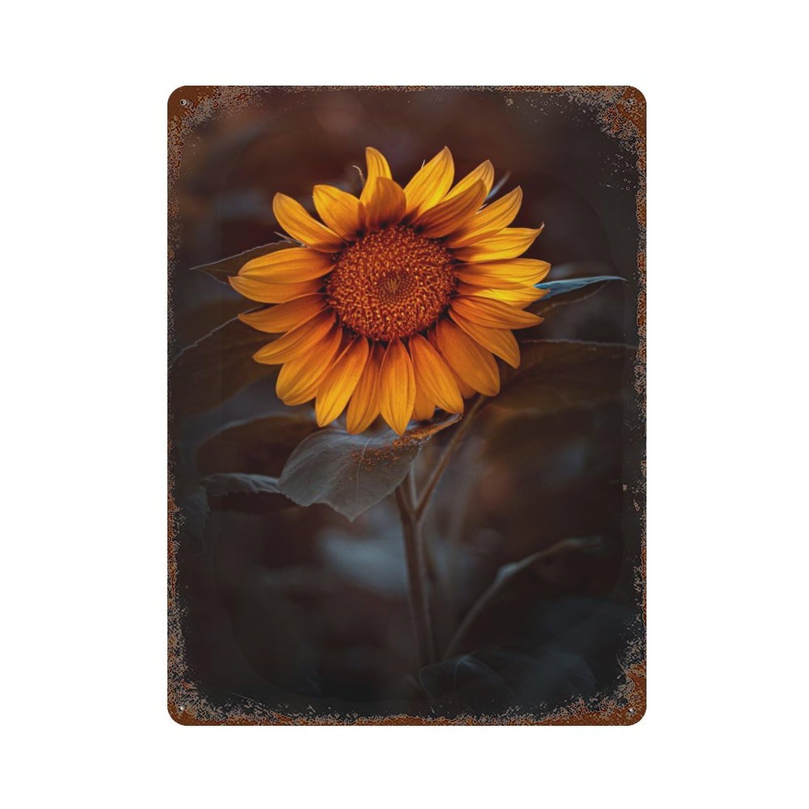 Garage Style Sunflower 5 Aged Metal Wall Plaque 15.7"x11.8", Farmhouse Wall Decor for Bar And Workshop