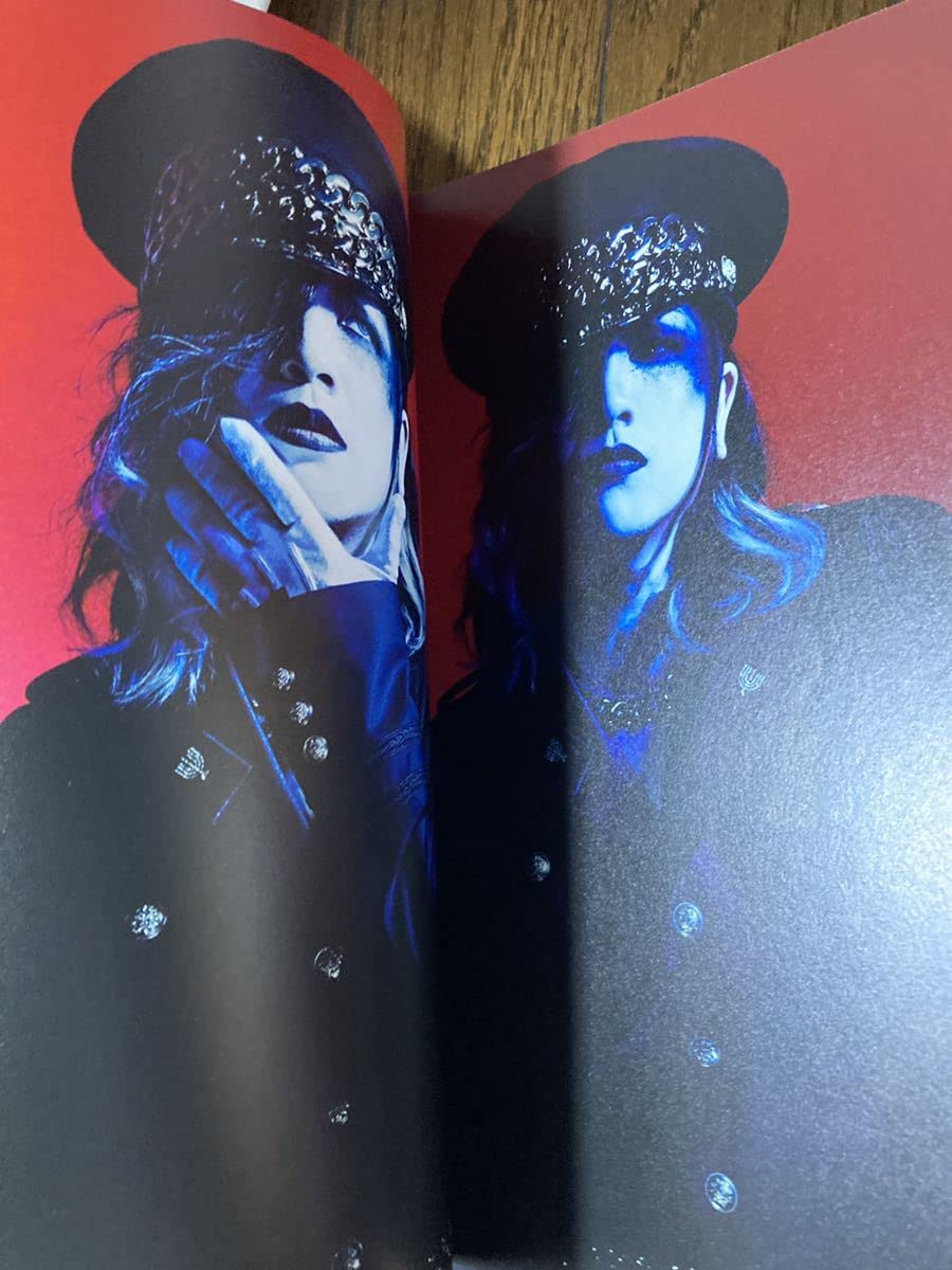 the GazettE PAMPHLET THIRTEEN パンフレット レア!!the GazettE ガゼット【限定】パンフレット6冊&限定