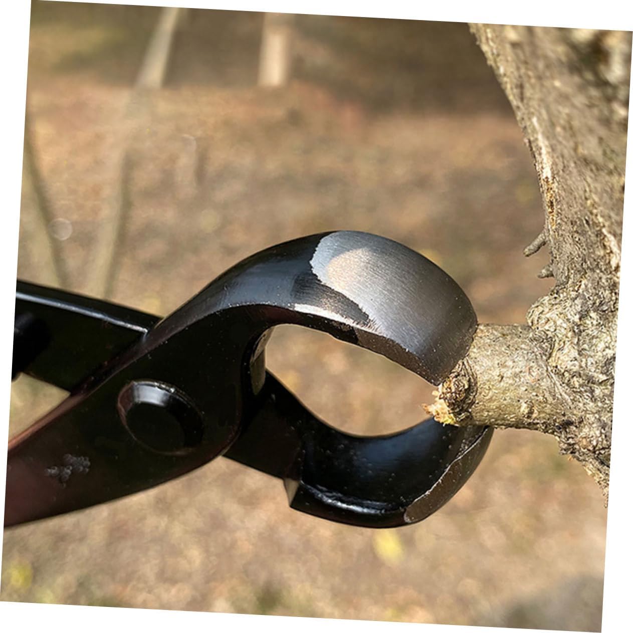 Bonsai Pruning Pliers Bonsai Balls Joint Pliers Branch Knob Cutter Round Concave Edges Tools Kit
