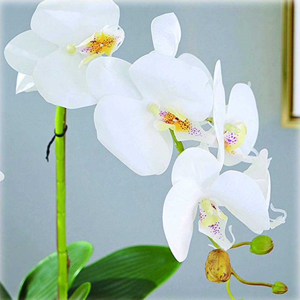 Fiori Artificiali Composizione Floreale Bonsai Fiori di Phalaenopsis Utilizzati per casa, Ufficio, con Vaso Fiori Finti Bonsai Fiori Finti