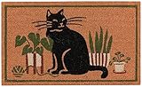 Now Designs Cat Collective Coir Doormat, 1 EA