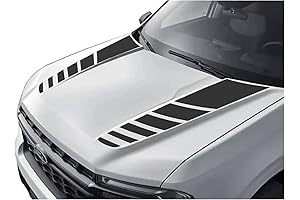 2024 Ford Maverick Tailgate Letters: Tailgate Inserts Compatible with 2022 2023 2024...