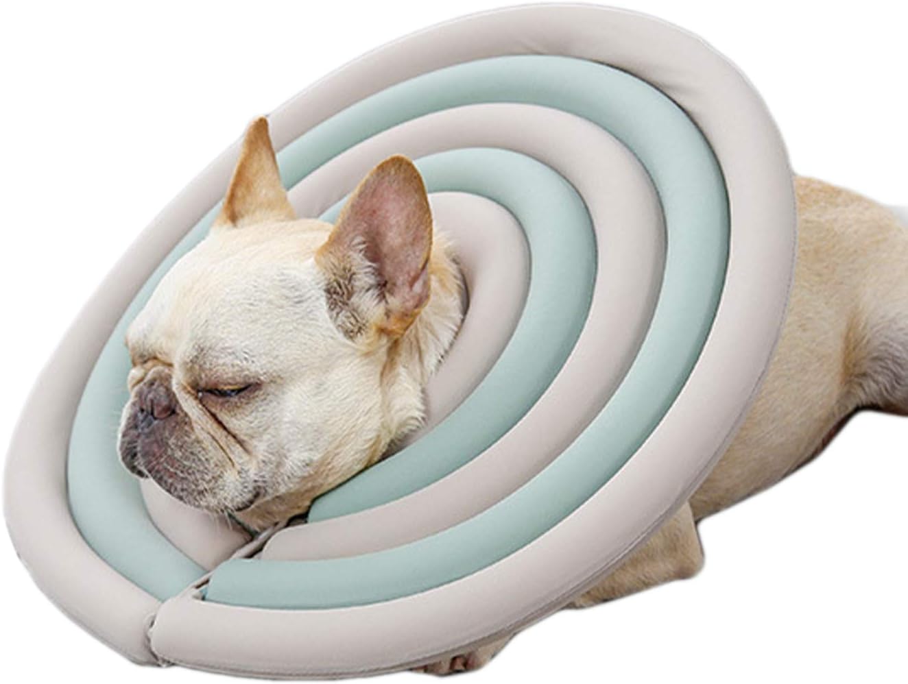 Alfie Pet - Toby Waterproof Recovery Collar (for Dogs and Cats) - Color: Blue & Grey, Size: XL