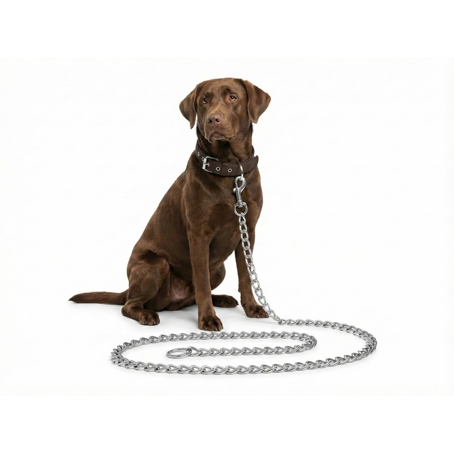 Dog Chain and Collar Combo Set, Metal and Leather, Adjustable, for Puppy Young & Adult, 2 Pieces (Brown, Small)-image-23