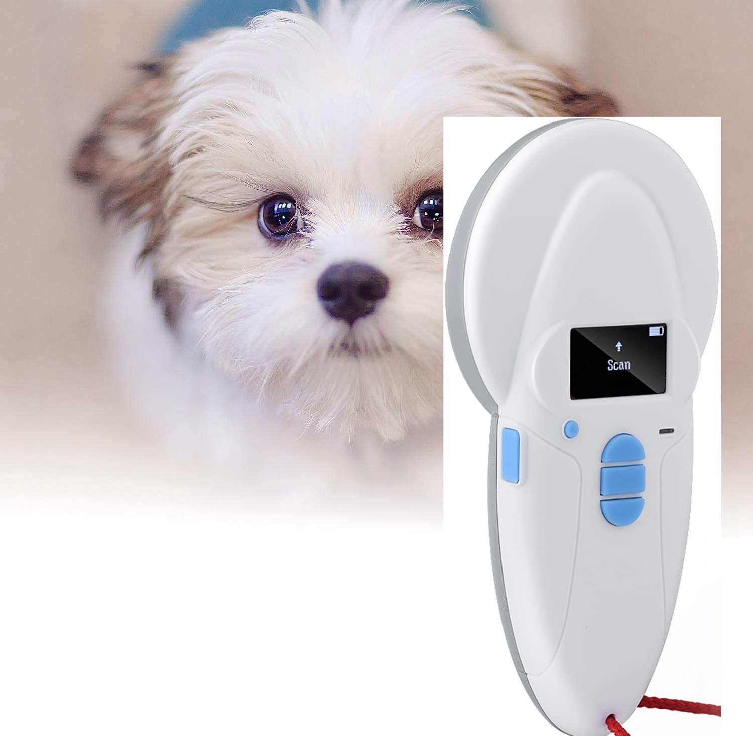 Lecteur d'identification pour animaux de compagnie, lecteur de puces RFID pour animaux - FDX-A/FDX-B (SO11784/85)/HDX/I/EM4102 Microchip Scanner, 128x64 OLED Label Display, 1400mA USB Rechargeable