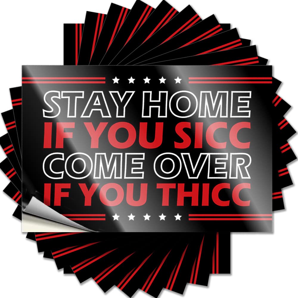 Fzfn Girls Colour Funny Sticker Vintage Vinyl Decals, Cool Bedroom Accessories Waterproof Garage Stickers For Water Bottle | Stay Home If You Sicc Come Over If You Thicc Perfect For Essentials(8X12cm)
