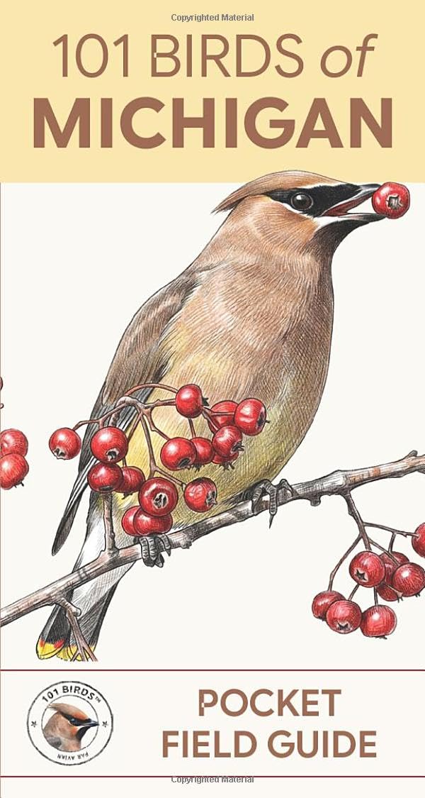 101 Birds of Michigan: Pocket Field Guide (101 Birds Pocket Field Guides)