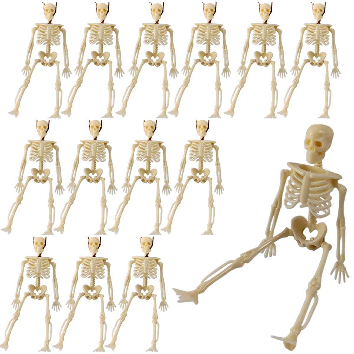 12 Pack 6 Inch Skeleton Figurines - Halloween Decorations
