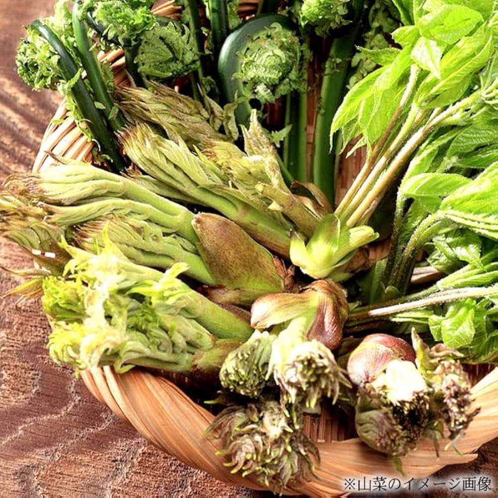 Amazon | 山形県産 天然 タラの芽 1kg (冷蔵品) 春の味覚 山の幸 たら