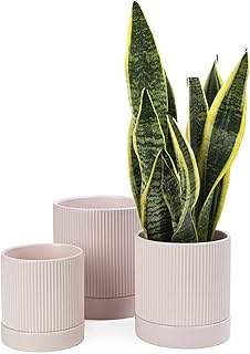 LaDoVita 3 Pack Ceramic Plant Pots 6/5/4 inch, Flowerpot for Indoor Plants with Drainage Holes and Tray, Outdoor Garden Pl...