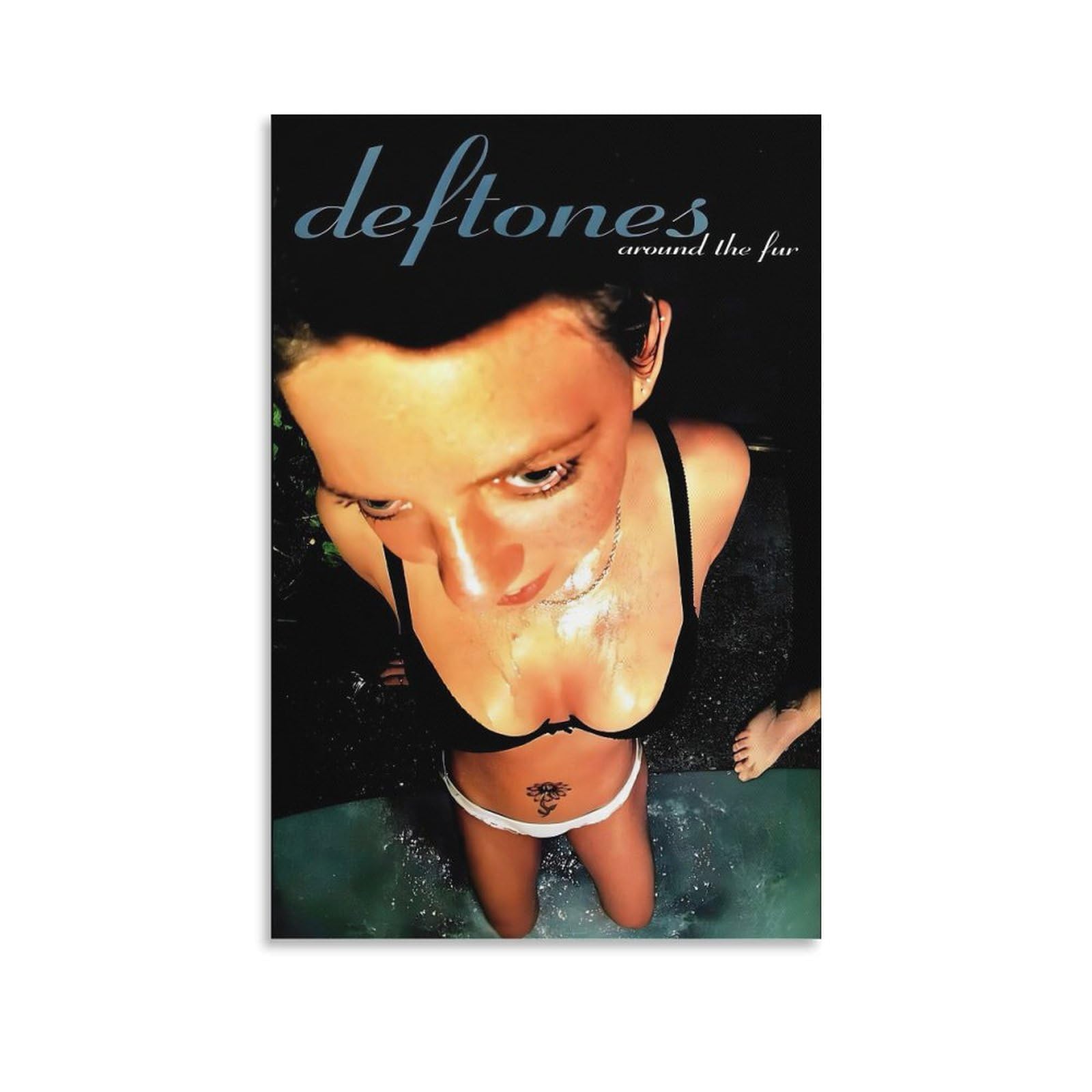 Amazon.com: VQFYNOBCI Deftones Poster Vintega MusicCanvas Art for