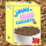 Jimmy Knee Crickets [Explicit]