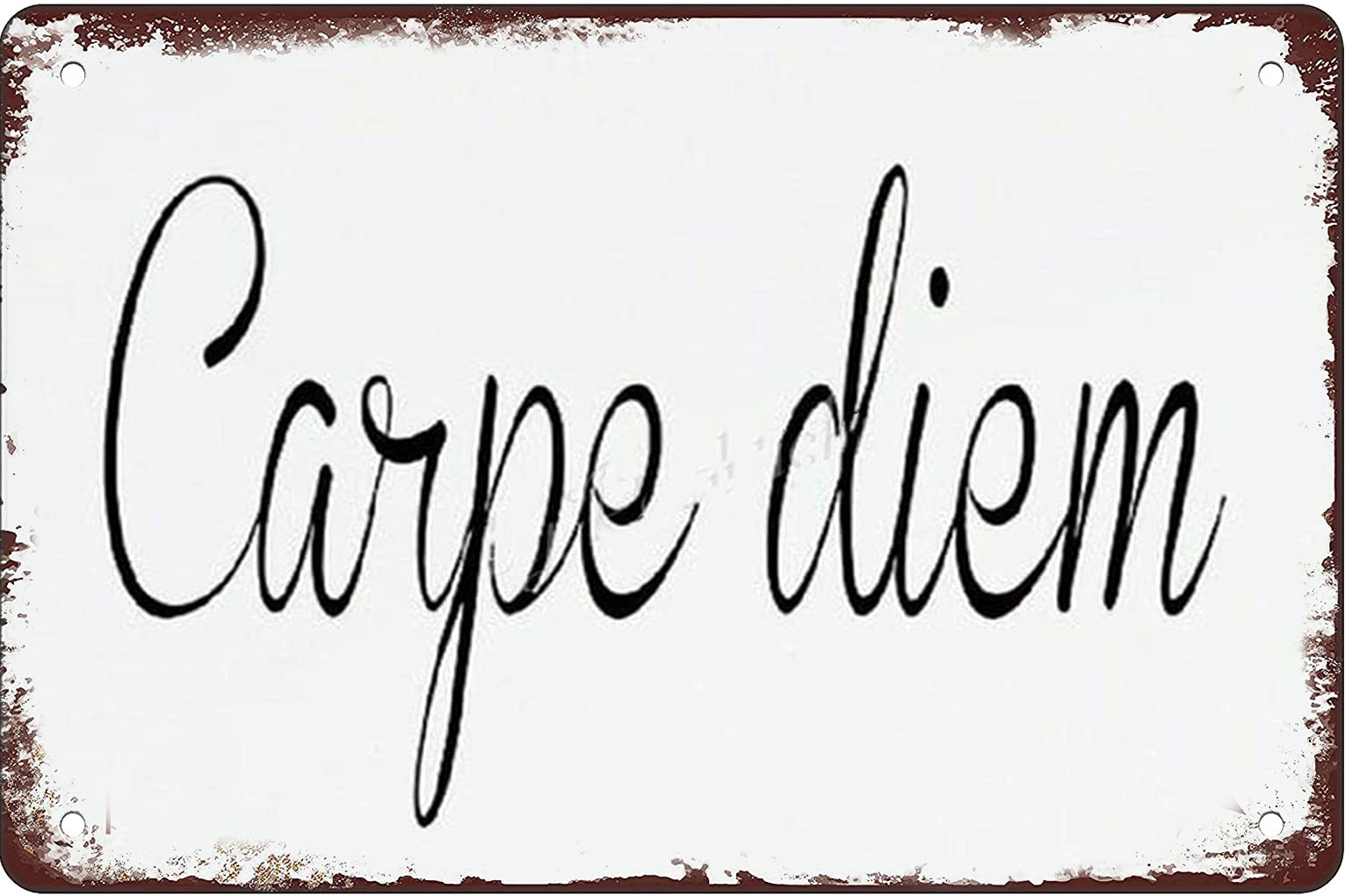 Metal Tin Sign For Carpe Diem Funny retro wall art decoration poster suitable for garage bar restaurant living room bedroom kitchen cafe bar 12X8 Inches