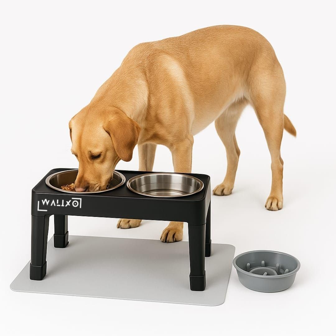 Ciotole Rialzate Cane Regolabili 5 Altezze – Ciotola Rialzata Set 3 in 1 con 2 Ciotole Inox 1200ml + Ciotola Anti-Ingozzamento 800ml, Tappetino Antiscivolo, per Cani Piccoli Medi Grandi