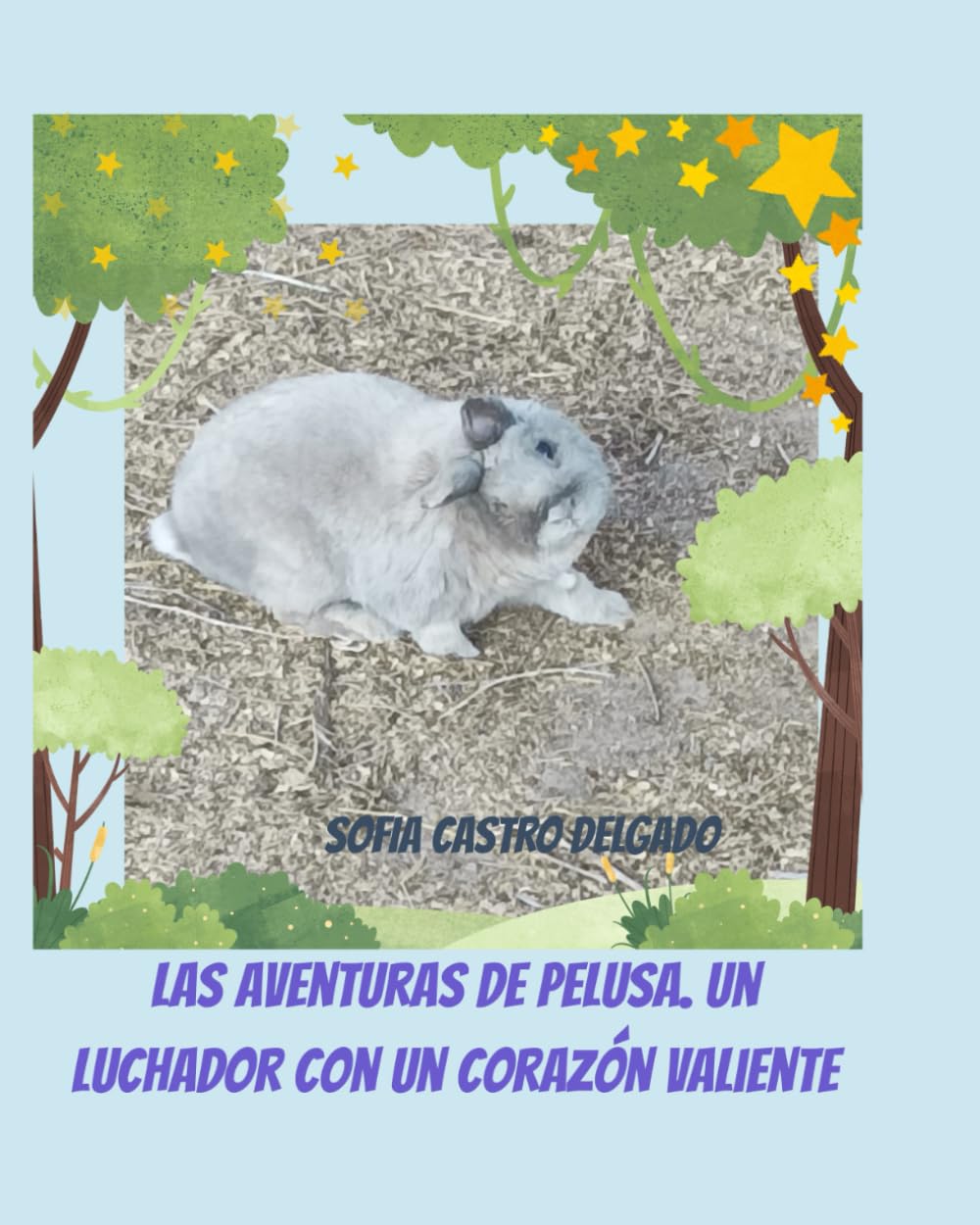 LAS AVENTURAS DE PELUSA. UN LUCHADOR CON UN CORAZÓN VALIENTE.