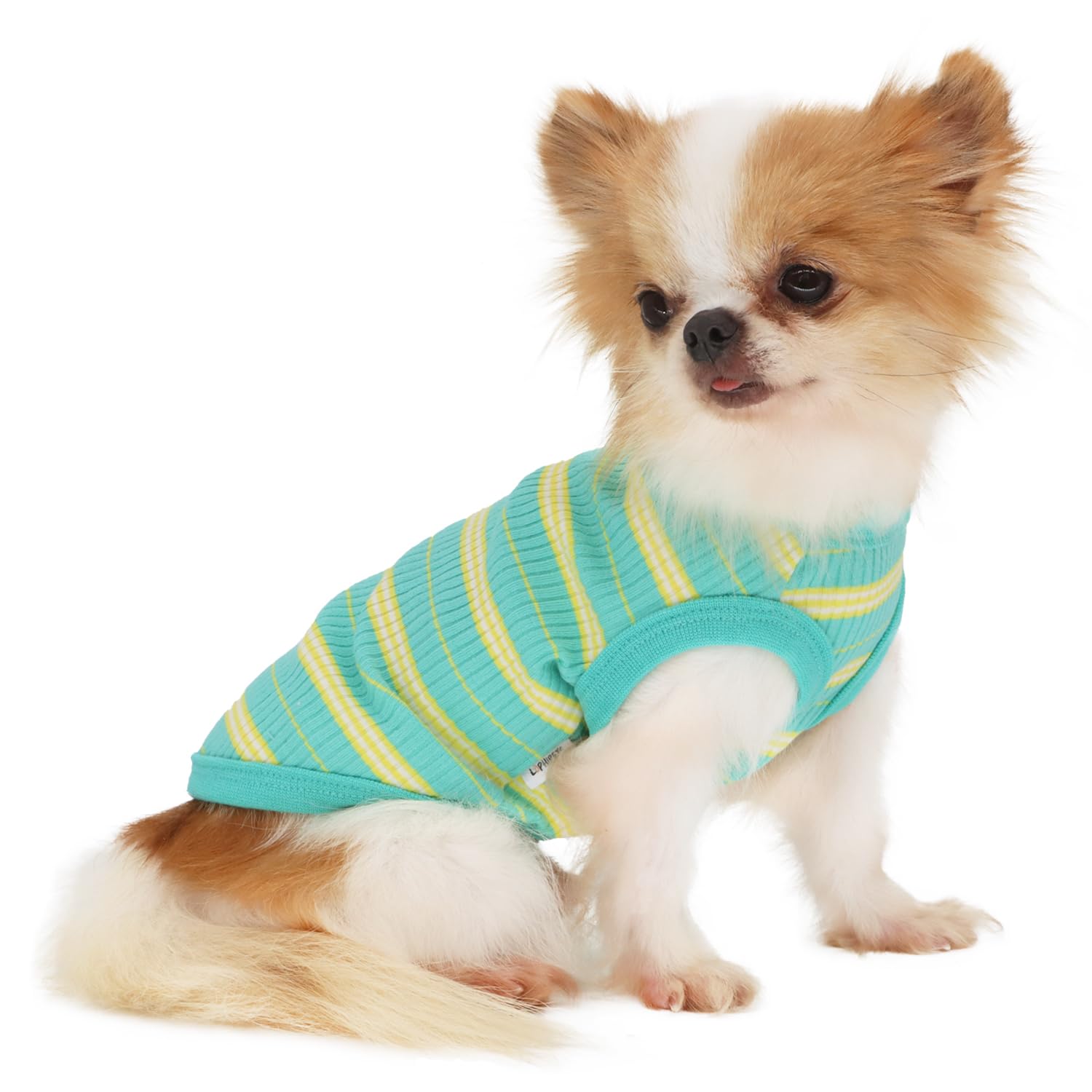 LOPHIPETS 100% Cotton Rib Dog Shirt Vest for Small Dogs Chihuahua Puppy Clothes Tank Tee-Red/L — image 1