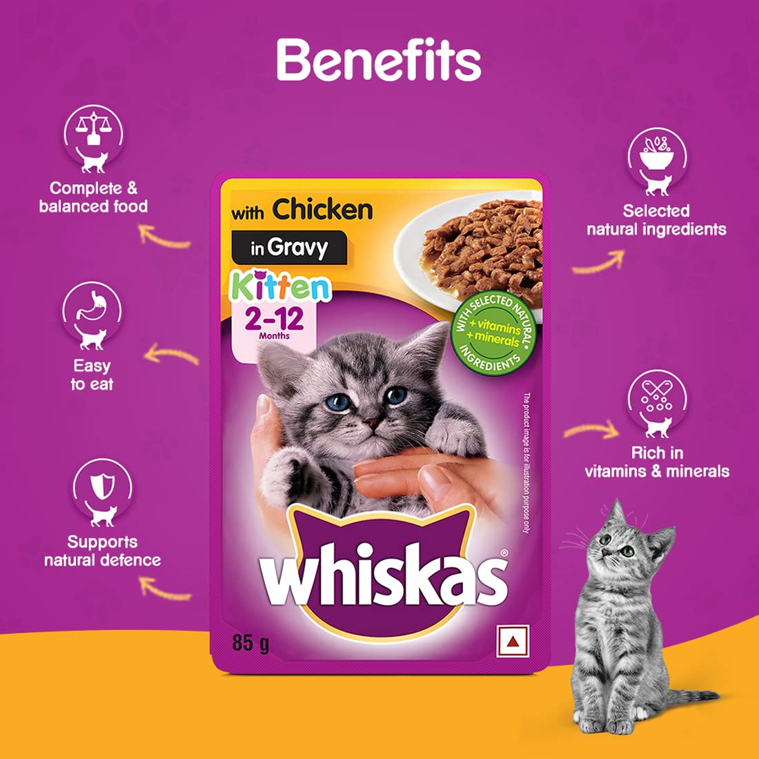 Whiskas Wet Food for Kittens (2-12 Months), Chicken in Gravy Flavour, 85g (Pack of 96) 1