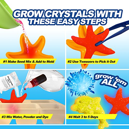 Evviva Sciences Crystal Growing Kit for Kids Science Kit to Make & Grow Rocks, Crystals, Gems – Easy All Inclusive Set – Chemistry, Geology & Learning Experiment Toy – w/ eBook
