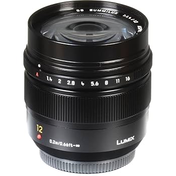 Amazon.com : Panasonic LUMIX G Leica DG SUMMILUX Lens, 12mm