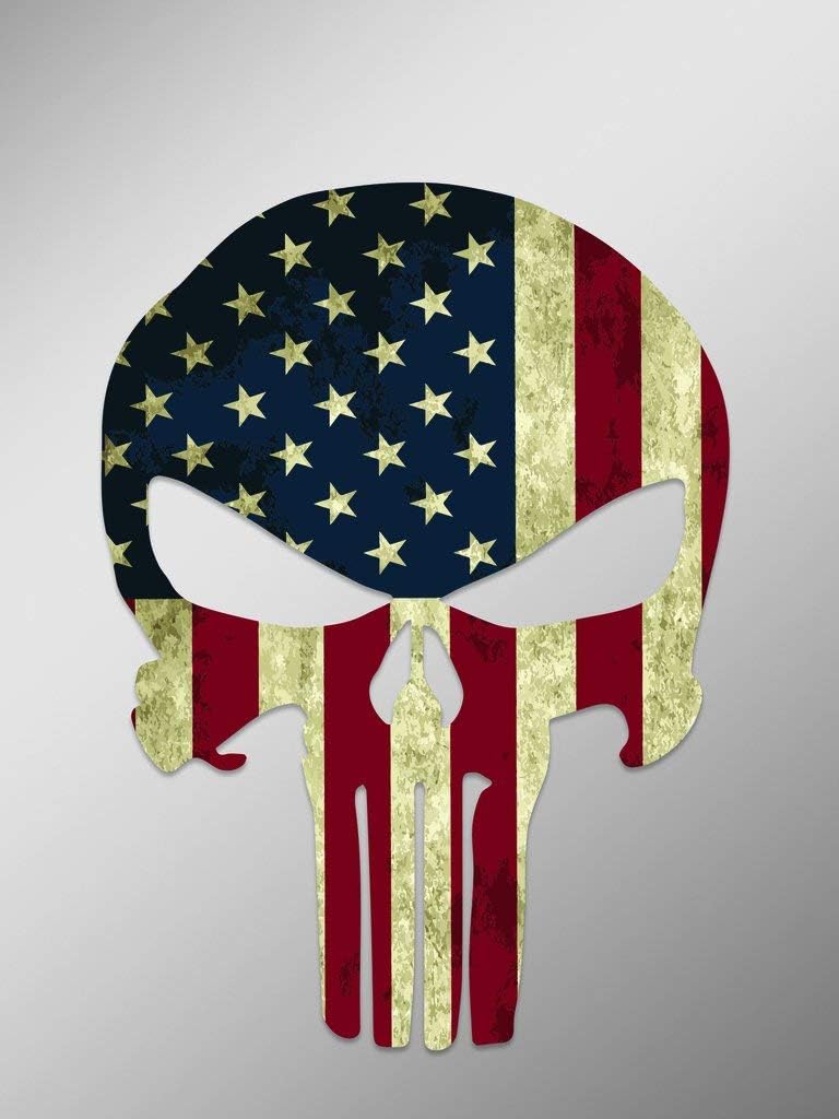 YuanKanJu VICTONY Punisher Skull American Flag Vinyl Decal Sticker | Cars Trucks Vans Walls Laptops Cups | Printed | 6.25 inches | KCD921