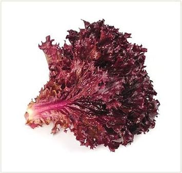 Ruby Red Lettuce Seeds- 100 Count Seed Pack - Non-GMO - A deep red Variety that is Excellent for garnishes and adds Beautiful Color to Salads. - Country Creek LLC