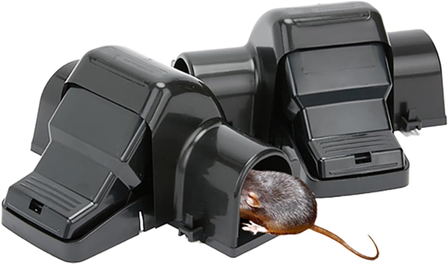 Pièges à rats pour intérieur et extérieur - Protégez votre maison et jardin