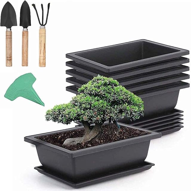 6 Pieces Rectangle Plant Pot with 7 Pieces Plant Labels, Plastic Bonsai Training Pots, Flower Succulent Pots with Trays Durable Planter Plants Growing Pots Container for Garden SMALL