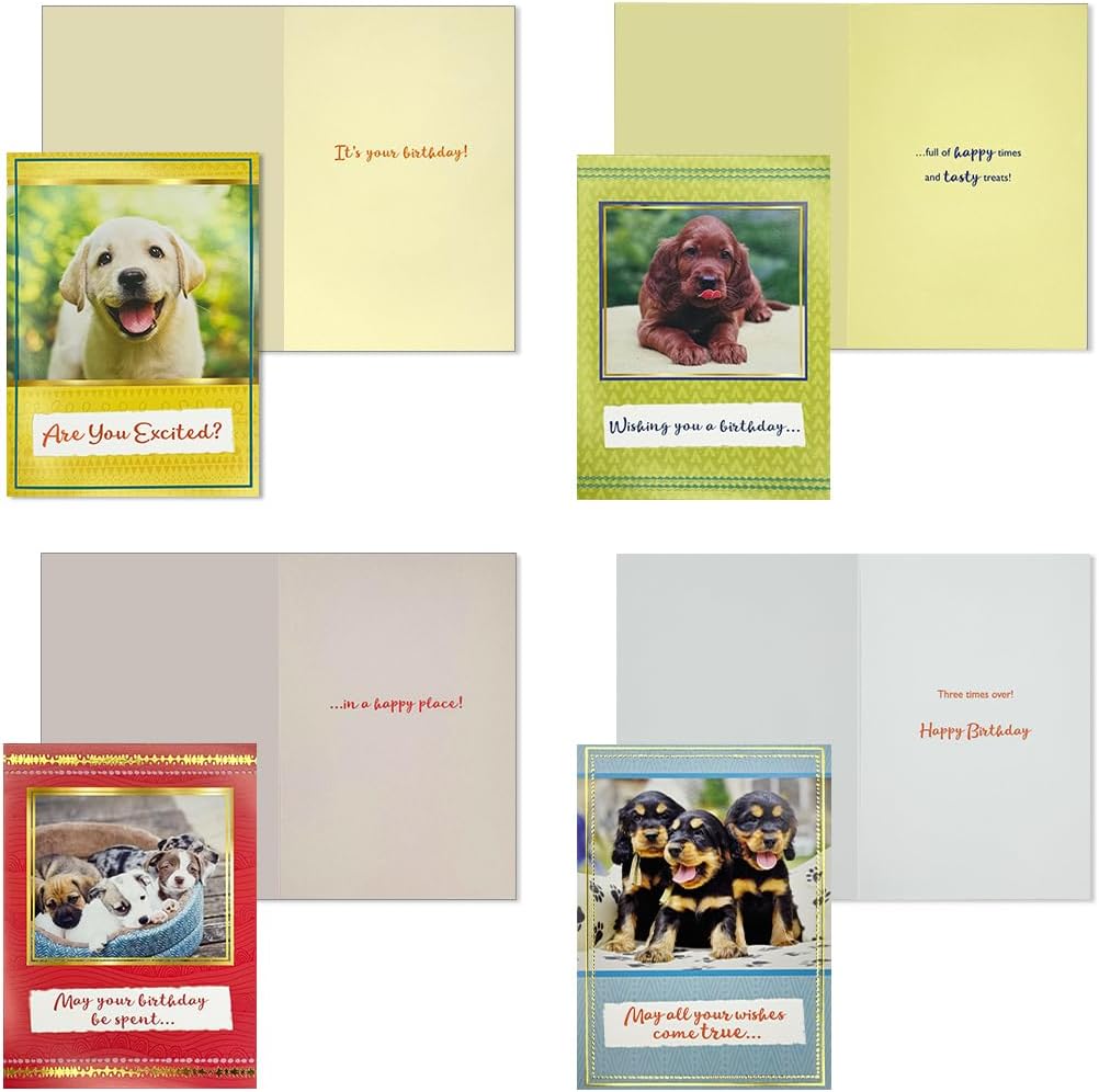 Designer Greetings Dog Birthday Cards 12 Pack image 3