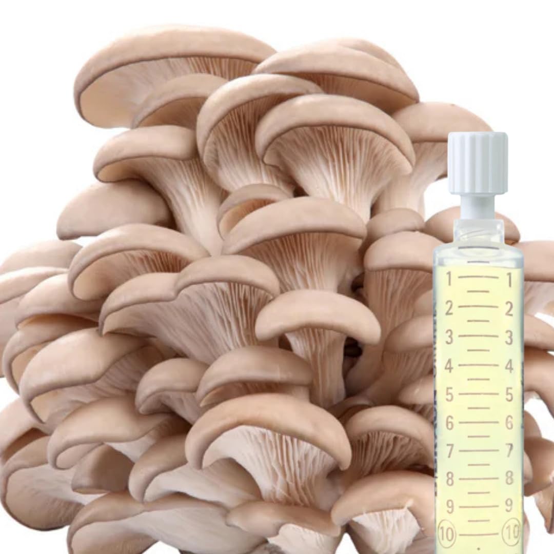 Flüssigmyzel 5er Set 10 ml – Pilzzucht Set mit Austernseitling, Kräuterseitling, Rosenseitling, Limonenseitling und Igel-Stachelbart – Myzelspritzen für Körnerbrut und Substrate