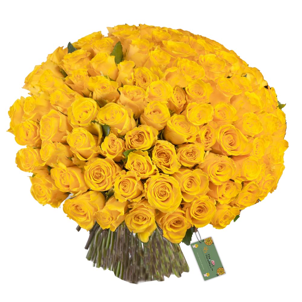 Premium Fresh Flower Bunch of Roses in Cellophane Wrapping || TFM Gifts (Bunch of 100, Yellow)-image-21