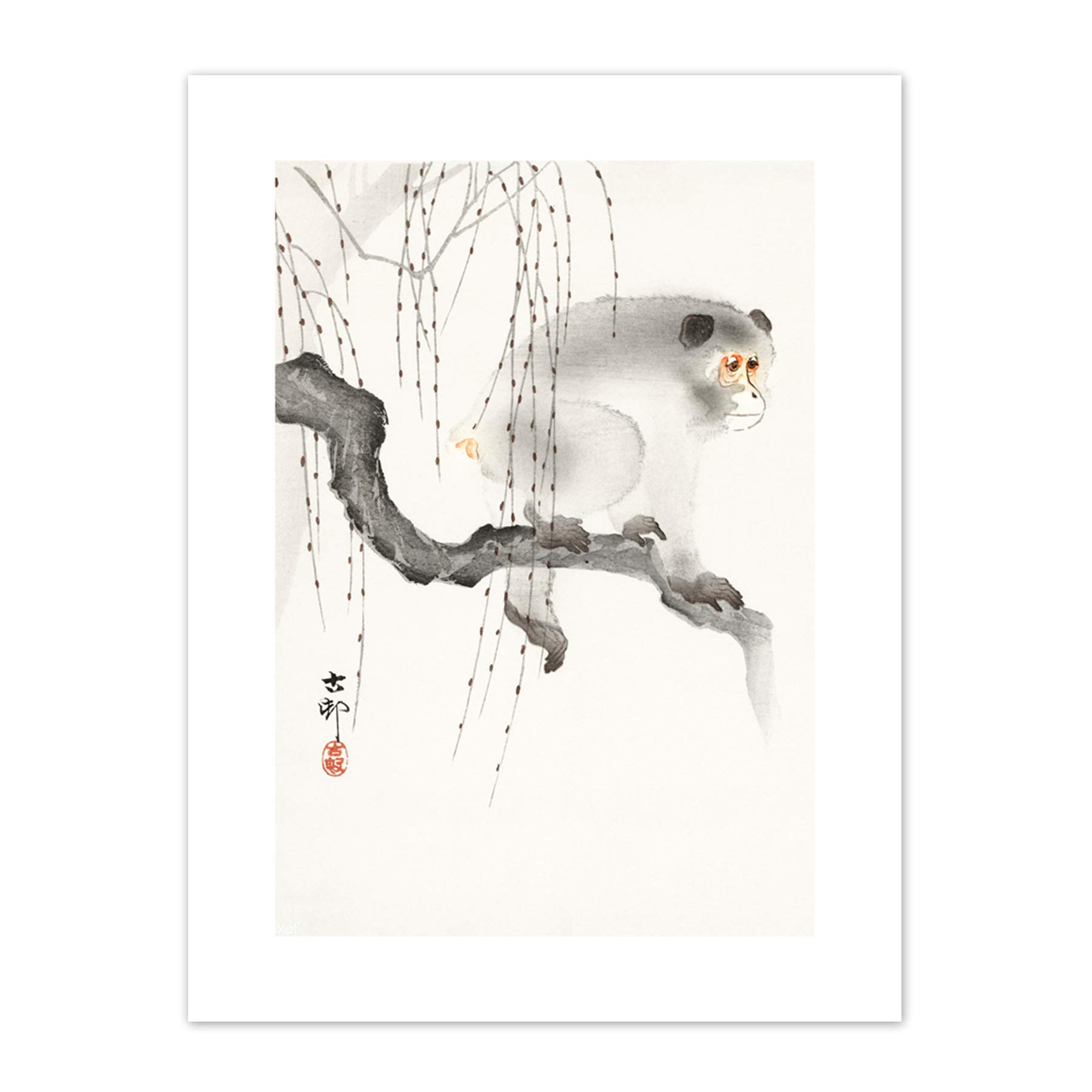 Wee Blue Coo Monkey Tree Branch Ohara Koson Art Print Canvas Premium Wall Decor Poster