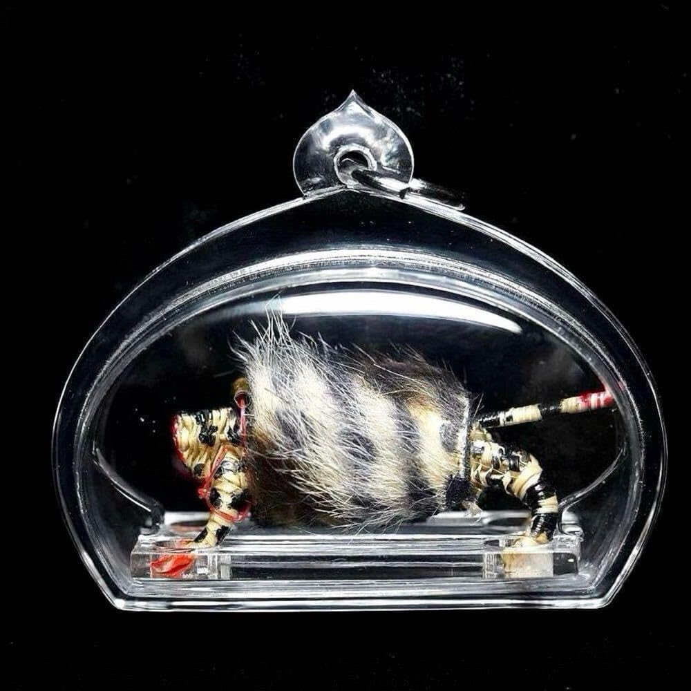 Amazon.co.jp: 首無し虎の籐人形'Hoon Payon Suasamin' 無敵