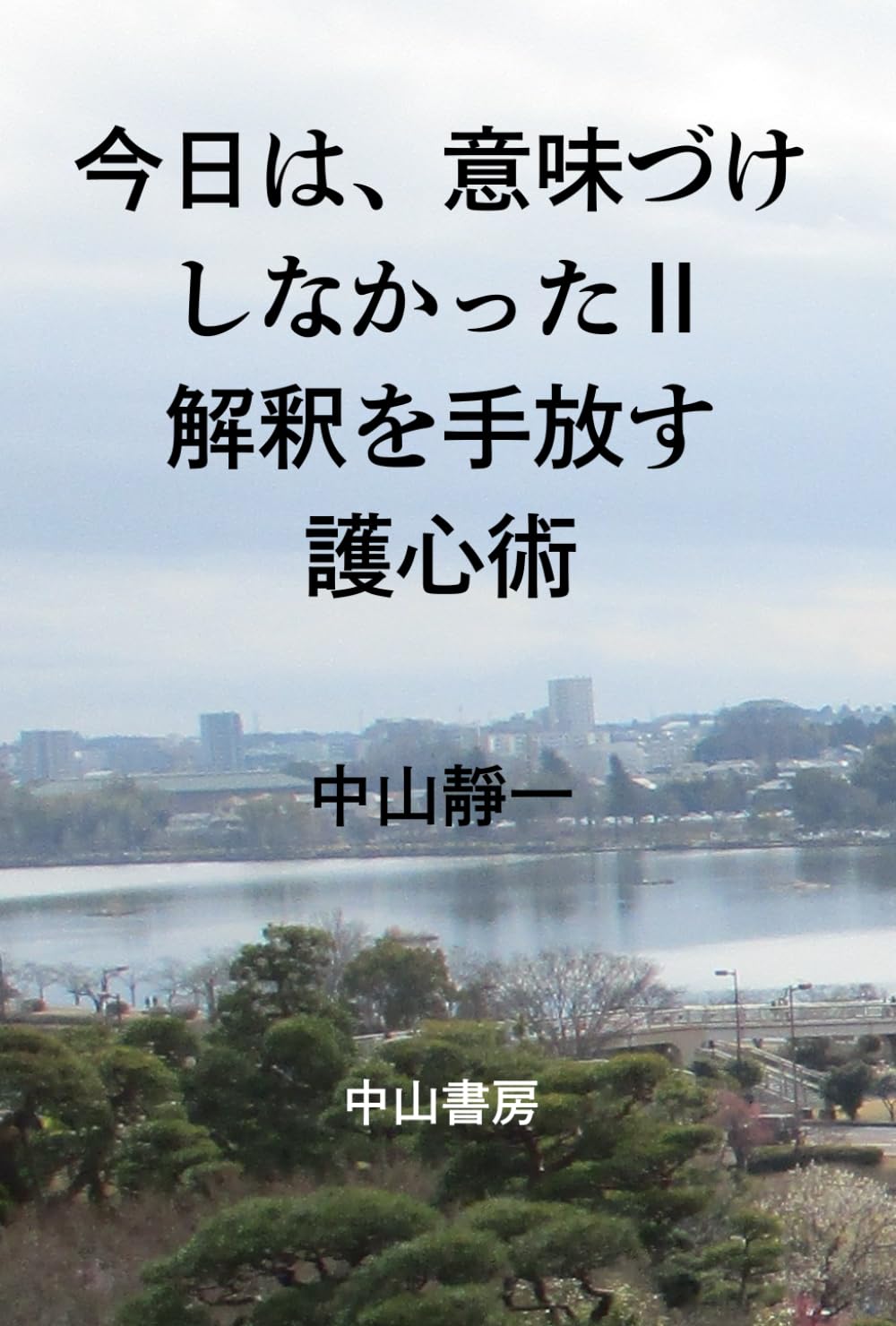 今日は、意味づけしなかった: 解釈を手放す護心術