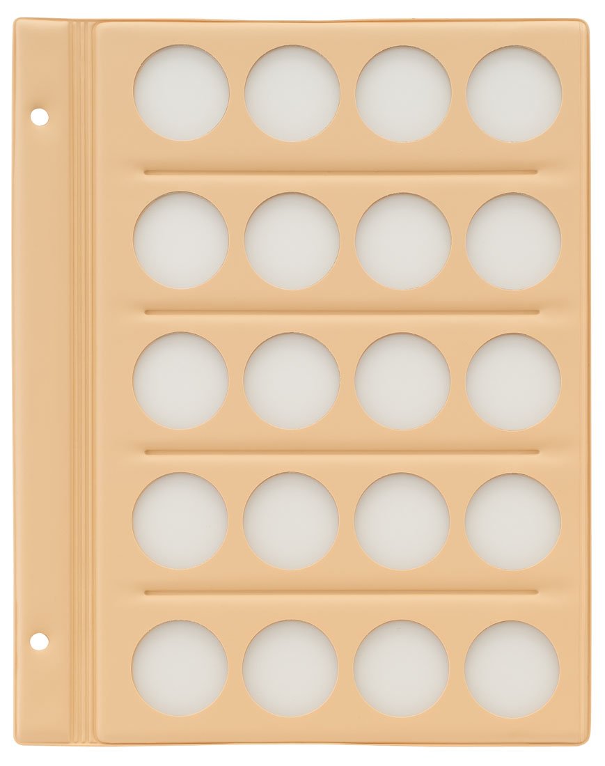 Teji C-31S4 Coin Album (Plain, Spare Mount Paper, 1.3 inch (33 mm) Holes, 4 Rows, 5 Tiers