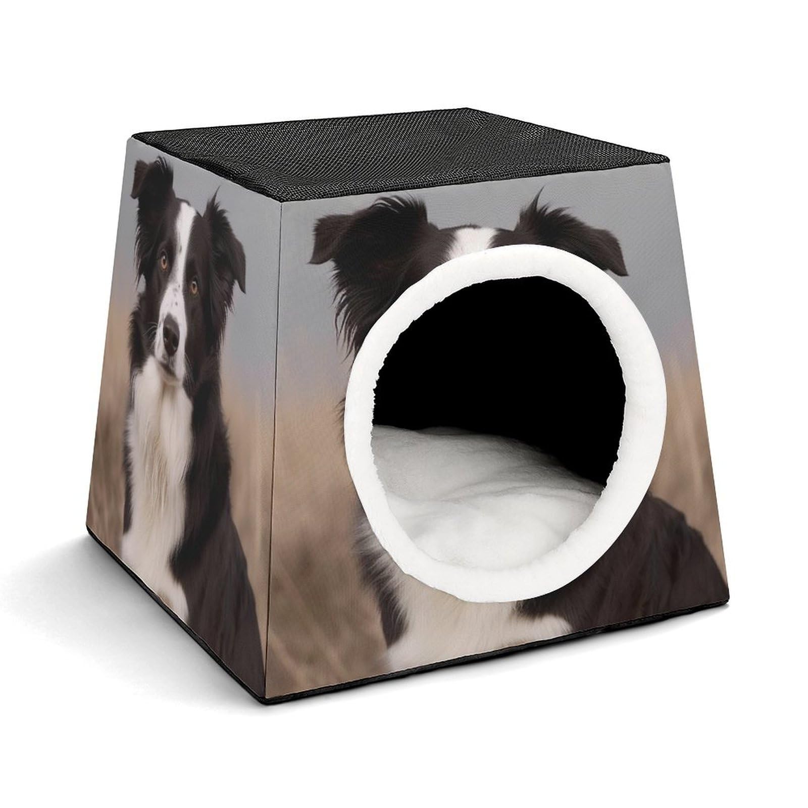 Nichoir confortable Border Collie en capsule spatiale chaude pour chats et petits chiens d'intérieur
