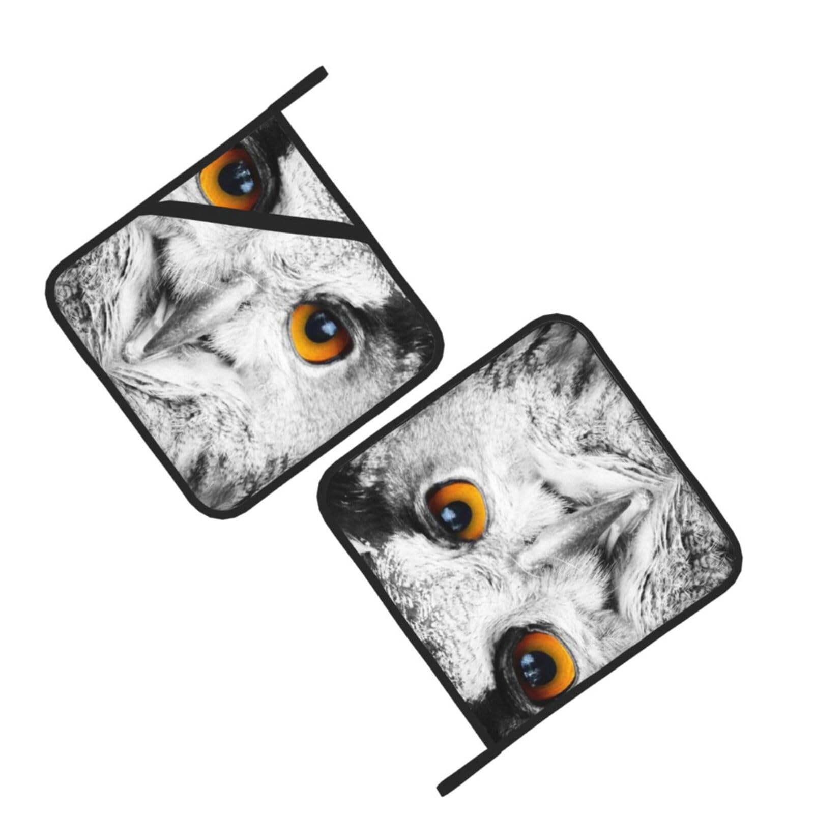 Owl Head Portrait Printed Oven Pot Holders Set of 2 Pcs Heat Resistant Kitchen Microwave Potholders for Cooking Baking Grilling
