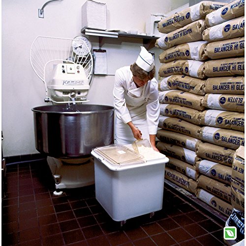 The 28 Best Commercial Food Scoops of 2024 [Verified] Cherry Picks