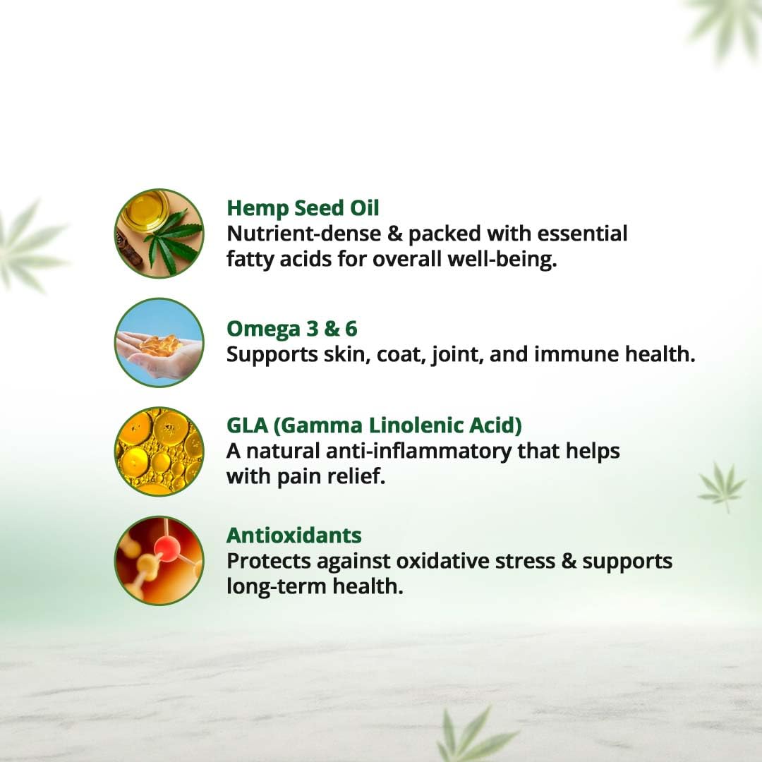 Hampa Hemp Seed Oil for Pets-50 ml | Wholesome Nutrition for pet Dog, Cat | Rich in Omega 3, 6 & Antioxidants | Maintains Healthy Skin & Boost Immunity | Helps in Pain Relief, Stress Calming, Anxiety — Amazon image 4